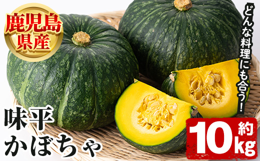 ＜2026年5月上旬以降順次発送予定＞鹿児島県産 味平かぼちゃ(約10kg) 国産 野菜 かぼちゃ カボチャ 南瓜 煮物 天ぷら バーベキュー BBQ スイーツ お菓子【松永青果】akn053-32