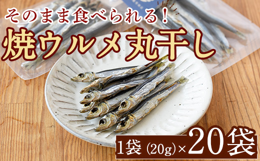 焼ウルメ丸干し20袋セット(20g×20袋)海産物 いわし 鰯 ウルメイワシ おつまみ おかず【下園薩男商店】akn086-14