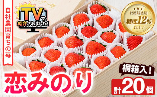＜2026年1月以降順次発送予定＞桐箱入！自社農園産いちご 恋みのり(計20個) 鹿児島 阿久根 自社農園 果物 フルーツ イチゴ いちご 苺 恋みのり 贈答用 ギフト 桐箱 デザート 期間限定【農園ガーデン空】akn026-11