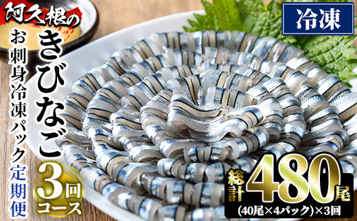 ＜定期便・全3回(冷凍便)＞鹿児島県産！阿久根のきびなごお刺身セット(計480尾・40尾×4P×3回) 冷凍 魚介類 海鮮 魚 きびなご キビナゴ 刺身 さしみ 刺し身 青魚 子魚 小分け【椎木水産】akn054-14