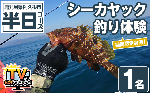 期間限定実施『パズル』オリジナル！シーカヤック釣り体験チケット(半日/1名) 阿久根 釣り シーカヤック アウトドア アクティビティ 自然 体験 ツアー チケット 海 マリンスポーツ 魚【パズル】akn098-03