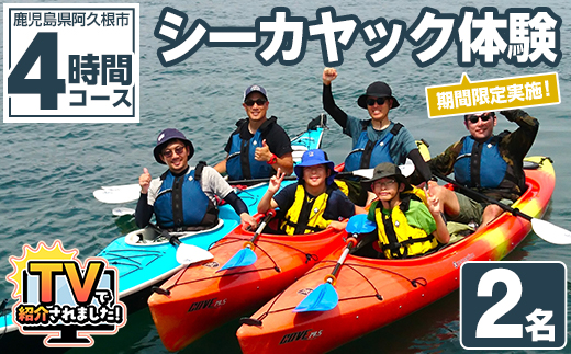 期間限定実施 シーカヤック体験チケット(4時間/2名) 阿久根 シーカヤック アウトドア アクティビティ 自然 体験 ツアー チケット マリンスポーツ【パズル】akn098-06