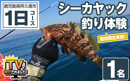 期間限定実施『パズル』オリジナル！シーカヤック釣り体験チケット(1日/1名) 阿久根 釣り シーカヤック アウトドア アクティビティ 自然 体験 ツアー チケット 海 マリンスポーツ 魚【パズル】akn098-09