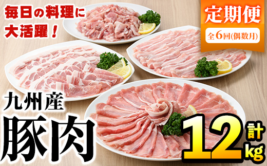 ＜定期便・全6回(偶数月)＞豚肉詰め合わせ(計12kg・1パック250g) 国産 九州産 小分け 個包装 真空パック 定期便 鍋 冷凍配送 ぶた肉 ポーク セット 詰め合わせ ロースしゃぶしゃぶ 肩ロース生姜焼き 豚バラスライス こま切れ【三九】akn006-15