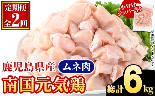 ＜定期便・全2回(隔月)＞鹿児島県産！南国元気鶏 ムネ肉(総計6kg) 国産 鹿児島県産 鶏肉 肉 お肉 ムネ肉 むね肉 胸肉 南国元気鶏 小分け 小パック 定期便 Cセット 【さるがく水産】akn028-36