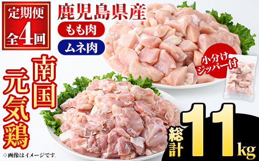 ＜定期便・全4回(隔月)＞鹿児島県産！南国元気鶏 もも肉・ムネ肉定期便(総計11kg) 国産 九州産 鹿児島産 モモ肉 鶏モモ むね肉 胸肉 鶏ムネ 小分け 定期便 おかず おつまみ 【さるがく水産】akn028-42