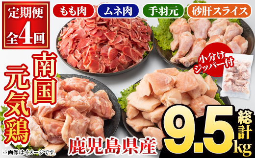 ＜定期便・全4回(隔月)＞鹿児島県産！南国元気鶏 もも肉・ムネ肉・手羽元・砂肝スライス定期便(総計9.5kg) 国産 九州産 鹿児島産 モモ肉 鶏モモ むね肉 胸肉 鶏ムネ 手羽元 砂肝 小分け 定期便 おかず おつまみ 【さるがく水産】akn028-43