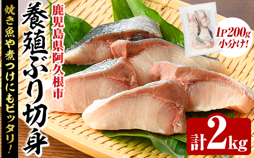 養殖ぶり切身(約2kg) 鹿児島県 阿久根市 ブリ ぶり 鰤 魚貝 魚介 海産物 切身 切り身 煮物 煮つけ 焼き魚 おかず おつまみ 小分け 【さるがく水産】akn028-45