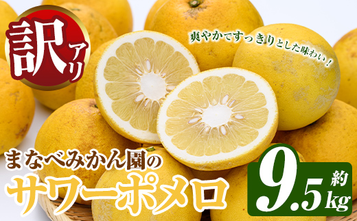 訳あり！まなべみかん園のサワーポメロ (約9.5kg) 国産 鹿児島県産 阿久根市産 柑橘類 みかん ミカン 蜜柑 果物 フルーツ サワーポメロ 期間限定 数量限定 デザート 訳アリ 【有限会社まなべみかん園】akn034-08