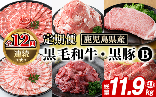 ＜定期便・全12回(連続)＞鹿児島県産 黒毛和牛・黒豚定期便 B (総量約11.9kg以上) 国産 鹿児島県産 黒豚 しゃぶしゃぶ 肩 ロース スライス 訳あり 切り落とし 黒毛和牛 サーロイン ステーキ 黒豚 バラ カタ ウデ 小分け セット 【スターゼン】akn042-36