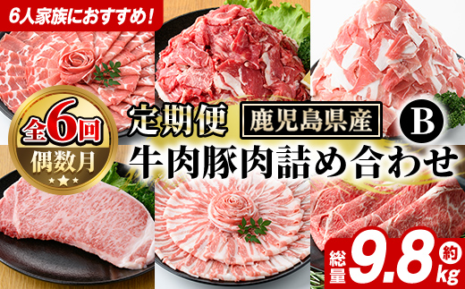 ＜定期便・全6回(偶数月)＞6人家族用！鹿児島県産 牛肉・豚肉 詰め合わせ B (総量9.8kg) 国産 黒豚 しゃぶしゃぶ 肩 ロース スライス 訳あり 切り落とし 黒毛和牛 サーロイン ステーキ 黒豚 バラ カタ ウデ 小分け セット 【スターゼン】akn042-38