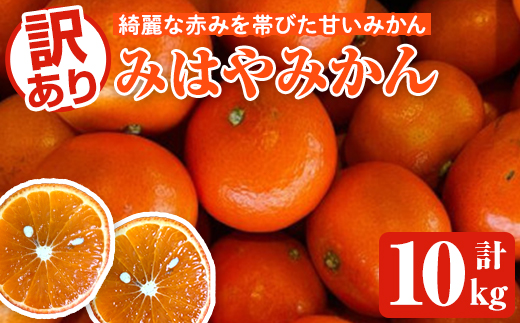 ＜2025年12月中旬以降順次発送予定＞訳ありみはやみかん(計10kg) 国産 フルーツ 果物 蜜柑 柑橘 みかん 訳あり【松永青果】akn053-42