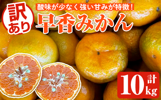 ＜2025年12月下旬以降順次発送予定＞訳あり早香みかん(計10kg) 国産 フルーツ 果物 蜜柑 柑橘 みかん 訳あり【松永青果】akn053-43