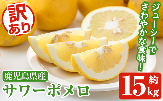 ＜2026年1月以降順次発送予定＞訳ありサワーポメロ(約15kg) 国産 果物 フルーツ 柑橘 甘味 酸味 デザート おやつ【松永青果】akn053-44