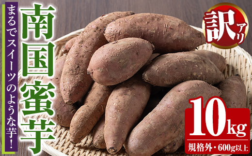 訳あり！数量限定！熟成芋「南国蜜芋」(規格外サイズ・10kg) 訳あり 国産 お芋 野菜 デザート 焼芋 焼き芋 焼きいも イモ 紅はるか 大学芋 訳アリ 詰め合わせ【うとさんち】akn067-24