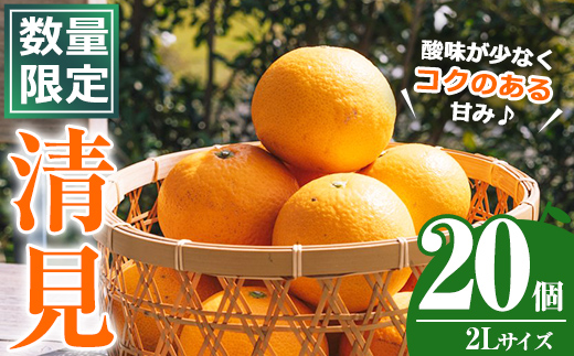 ＜2026年4月上旬以降順次発送予定＞数量限定！鹿児島県産 清見 (20個・2L) 柑橘 フルーツ 果物 国産 みかん 期間限定 きよみ キヨミ ミカン【株式会社イロドリ】akn069-09