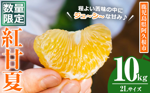 ＜2026年3月中旬以降順次発送予定＞数量限定！鹿児島県産 紅甘夏 (10kg・2L) 柑橘 フルーツ 果物 国産 みかん 期間限定 数量限定 ベニアマナツ ミカン 旬 【株式会社イロドリ】akn069-10