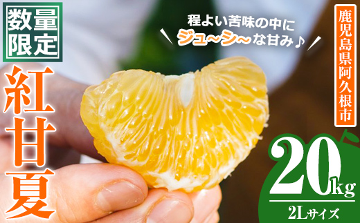 ＜2026年3月中旬以降順次発送予定＞数量限定！鹿児島県産 紅甘夏 (20kg・2L) 柑橘 フルーツ 果物 国産 みかん 期間限定 数量限定 ベニアマナツ ミカン 旬 【株式会社イロドリ】akn069-11