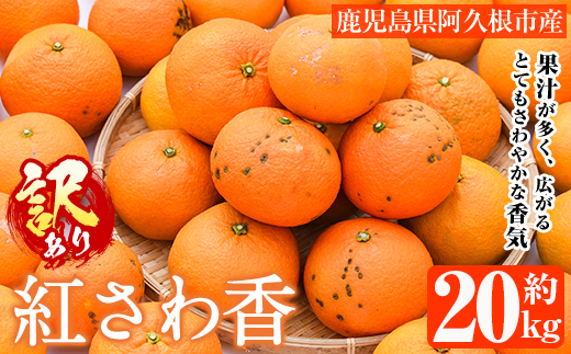 ＜2026年2月上旬以降順次発送予定＞訳あり 紅さわ香(約20kg) 国産 鹿児島県 阿久根市 果実 果物 フルーツ 柑橘 みかん ミカン 紅甘夏 期間限定 数量限定 【桐野柑橘株式会社】akn070-19