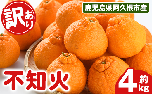 ＜2026年3月上旬以降順次発送予定＞訳あり！露地栽培の不知火(4kg) 国産 不知火 しらぬい 柑橘 果物 フルーツ デザート 露地 果実 期間限定 数量限定 【古田果樹園】akn093-03