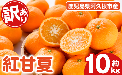 ＜2026年2月上旬以降順次発送予定＞訳あり！紅甘夏(10kg) 国産 紅甘夏 柑橘 果物 フルーツ デザート 果実 期間限定 数量限定 【古田果樹園】akn093-04