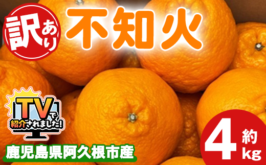 ＜2026年3月上旬以降順次発送予定＞訳あり！露地栽培の不知火(4kg：大将季) 国産 不知火 しらぬい 柑橘 果物 フルーツ デザート 露地 果実 期間限定 数量限定 【古田果樹園】akn093-07