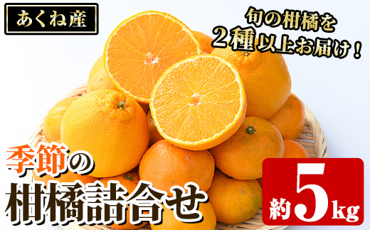 竹ん子山の季節の柑橘詰め合わせ(約5kg) 国産 鹿児島県産 阿久根産 柑橘 果物 温州みかん ミカン 蜜柑 ボンタン ぼんたん 文旦 しらぬい しらぬひ 不知火 サワーポメロ フルーツ 果実 期間限定 セット 詰合せ バラエティ 【竹ん子山】akn097-13