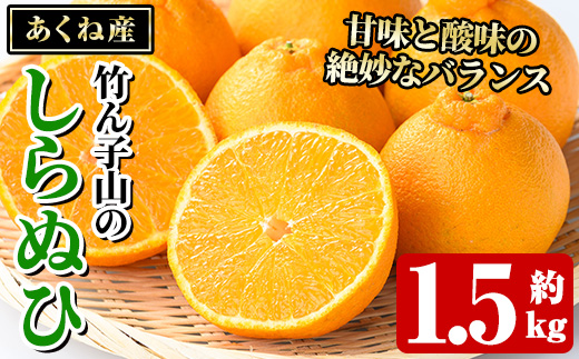 竹ん子山のしらぬひ(約1.5kg) 国産 鹿児島県産 阿久根産 柑橘 果物 しらぬい 不知火 フルーツ 果実 期間限定 【竹ん子山】akn097-14