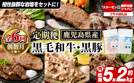 ＜定期便・全6回＞岩塩付き！鹿児島県産黒毛和牛・黒豚定期便 (肉：総量約5.2kg/岩塩：600g) 国産 九州産 鹿児島産 牛肉 国産牛 豚肉 セット サーロイン ステーキ 切り落とし 切落し コラボ ピンク 岩塩 【スターゼン×梅研本舗ジャパン】akn501-04
