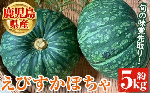 鹿児島県産 えびすかぼちゃ(約5kg)[松永青果]a-12-282
