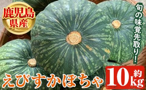 鹿児島県産 えびすかぼちゃ(約10kg)[松永青果]a-24-40