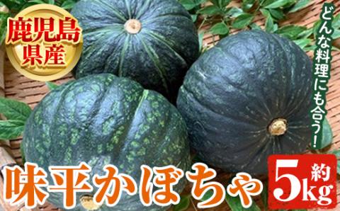 鹿児島県産 味平かぼちゃ(約5kg)[松永青果]a-16-29