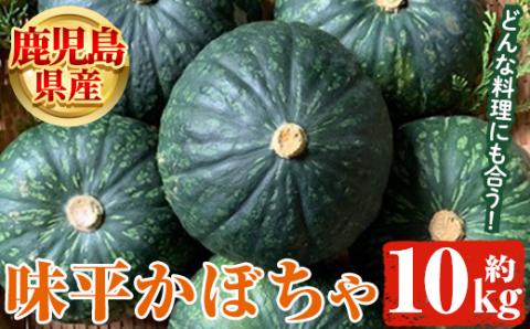 鹿児島県産 味平かぼちゃ(約10kg) [松永青果]a-28-9