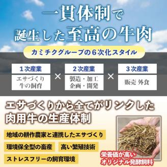 i827 鹿児島県産 薩摩牛すね肉赤ワイン煮(200g×4P・計800g) 和牛 牛肉 国産 牛肉 肉 黒毛和牛 国産 赤ワイン 赤ワイン煮 おかず 惣菜 【カミチク】