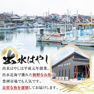 i861＜下処理済・加熱用＞おまかせ鮮魚BOX(約2～3kg程度・3～6種類) 魚 鮮魚 下処理済み 鹿児島県 出水近海 煮付 料理 旬 何が届くかはお楽しみ 【出水はやし】