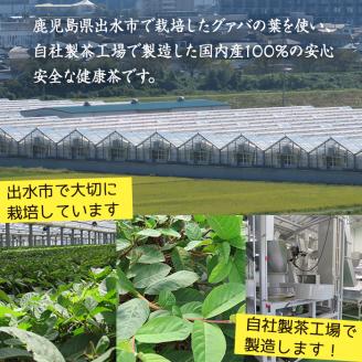 i184 ＜国内産100%＞出水農産グァバ茶 快然王(30包×4袋)グァバ葉のポリフェノールそのままに！ノンカフェインだから子供から大人まで！ お茶 茶 国産 グァバ葉 ティーパック ノンカフェイン ポリフェノール 血糖値 コレステロール 【出水酒造 izumi-syuzou】