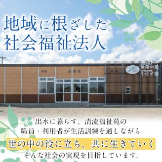 i066 清流苑の墓守サービス(2回)代行サービス お墓参り 現状確認 管理代行 お手入れ 清掃 クリーニング 墓石 お参り【社会福祉法人清流苑】