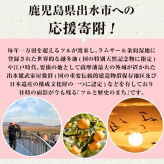 i902 ≪返礼品なし・1,000円≫鹿児島県出水市への寄附【出水市役所】