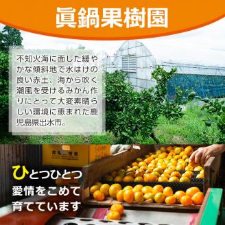 i899 ≪数量限定≫温州みかんジュース(計10本) 国産 ミカン 蜜柑 みかん 温州みかん 柑橘 果汁100% ストレート 果物 くだもの フルーツ ジュース 【眞鍋果樹園】