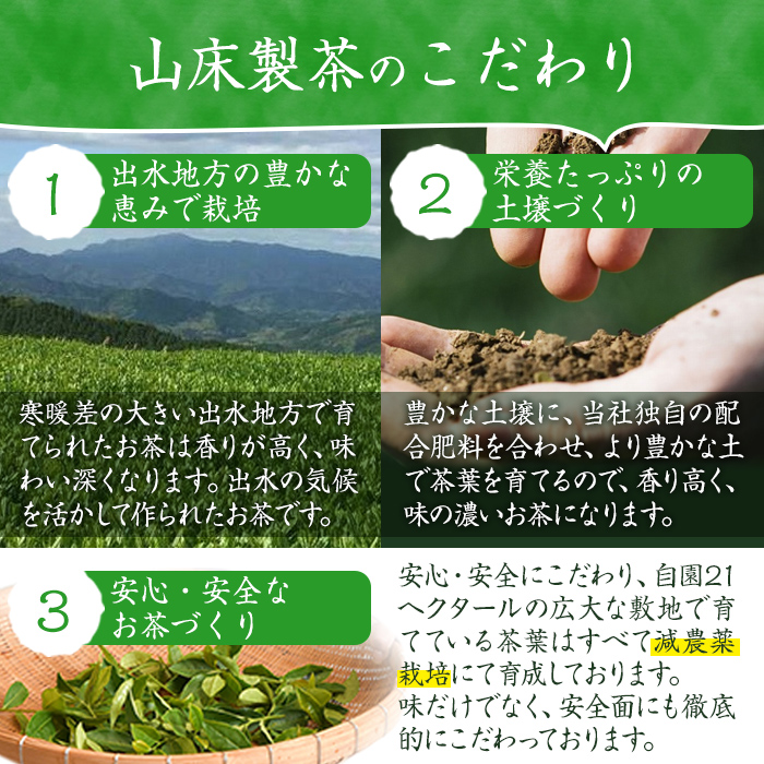 i1017 出水銘茶ティーバッグセット(4種・計6パック) お茶 緑茶 国産 日本茶 深むし茶 紅茶 ほうじ茶 ハングタグ ハングタグティーバッグ tea ギフト プレゼント 詰め合わせ 常温 常温保存 【山床製茶】