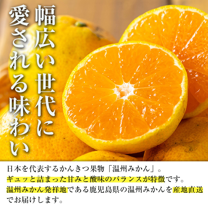 i1030 ＜2026年2月上旬~3月上旬の間に順次発送予定＞≪数量・期間限定≫いずみ産 竹ん子山のみかん(約5kg) 鹿児島 国産 九州産 みかん ミカン 蜜柑 柑橘 くだもの フルーツ 果実 【イーサイドライン】
