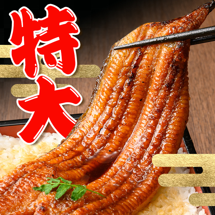 i1078-A-Xm 【クリスマスギフト】＼特大サイズ／ 鹿児島県産 うなぎ蒲焼 (2尾) 1尾 約220g たれ 山椒付きうなぎ 鰻 ウナギ 特大 特大サイズ 特大鰻 蒲焼き 国産 鹿児島県産 選べる 贈答 ギフト プレゼント クリスマス 【薩摩川内鰻】