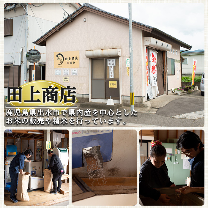 i1118-C 《数量限定》鹿児島県出水市産あきのまい美白米＜計6kg(3kg×2袋)＞ 米 お米 6kg 美白米 あきのまい 自家精米 精米 自家脱穀 脱穀 おにぎり ごはん お米マイスター 厳選 【田上商店】