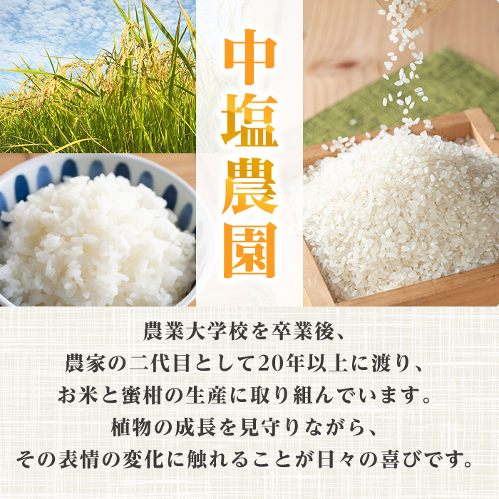 i1179-B 令和7年産 鹿児島県 出水市産 なつほのか (計10kg・5kg×2袋) 米 10kg なつほのか 鹿児島 10キロ お米 九州 九州産 甘み 大粒 【いずみキッチン】