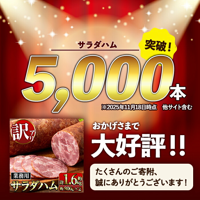 i1204-A ＜定期便・計3回(連続月)＞《業務用・訳あり》サラダハム  (約800g×2本×3回・計4.8kg ) ハム 国産 豚肉 塩漬 熟成 プレスハム 肉加工品 訳アリ 業務用 サラダ トッピング 定期便 【ナンチク】