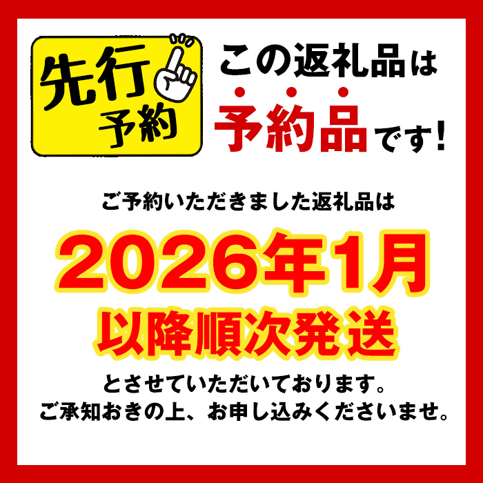 i535-2601 《先行予約受付中！2026年1月下旬以降順次発送予定》＜訳あり＞九州産たけのこ水煮(200g×8P・計1.6kg) たけのこ 筍 タケノコ 水煮 国産 訳アリ 訳あり 常温保存 常温 料理 煮物 炊き込みご飯 おでん 料理 お手軽 予約 先行予約 【マツバラ】