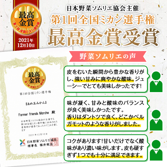 i571 ＜先行予約受付中！2025年11月中旬～2026年1月下旬の間に発送予定＞【特別栽培・最高金賞】温州みかん日本一！濃甘あめ玉みかん(計約12kg・6kg×2箱＋傷み保障 約200g(3～4玉) みかん 蜜柑 ミカン 柑橘 果物 フルーツ 果実 国産 鹿児島【Farmer friends Marche】