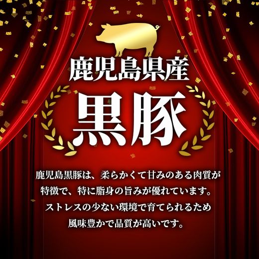 i998 鹿児島県産 黒豚 バラスライス (計1.2kg・600g×2パック) 【スターゼン】