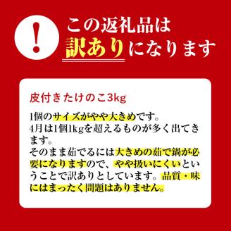 i500 ≪数量限定！先行予約受付中！2026年4月上旬～4月中旬の間に発送予定≫【訳あり】鹿児島県出水市産！タケノコ＜皮付き3kg＞ たけのこ 筍 タケノコ 国産 皮付き 訳アリ 野菜 旬 新鮮 採りたて 煮物 味噌汁 炊き込みご飯 【シンタク】