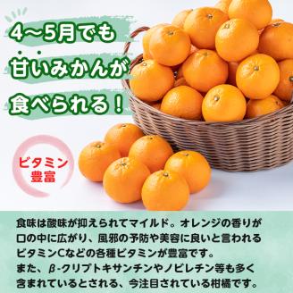 i594 ＜2026年3月下旬～6月中旬の間に発送予定＞《傷ありのため訳あり》農6みかん(約10kg) 果物 フルーツ 柑橘 国産 鹿児島県産 みかん 蜜柑 【江崎果樹園】